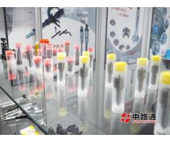 Diesel Fuel Injector Nozzles L163PRD