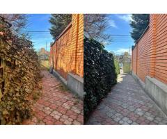 Уборка заброшек, расчистка участков быстро аккуратно - Изображение 3/5