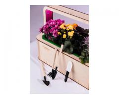 EcoBloom Smart Garden Розумний сад вдома - Изображение 3/5