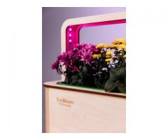 EcoBloom Smart Garden Розумний сад вдома - Изображение 4/5