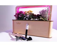 EcoBloom Smart Garden Розумний сад вдома - Изображение 5/5