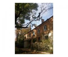 Спилим обрежем деревья, удалим поросли