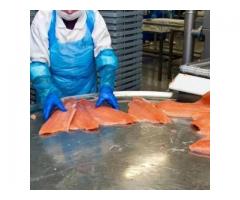 Шоковая заморозка,низькотемпературні камери для переробки риби