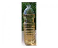 Біодизель, biodisel