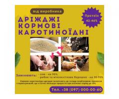 Кормові дріжджі – білково-вітамінна добавка від виробника по Україні та на експорт.