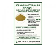 Кормові дріжджі – білково-вітамінна добавка від виробника по Україні та на експорт.