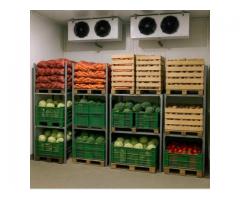 Універсальна холодильна камера для продуктів -10С+10С, морозилка