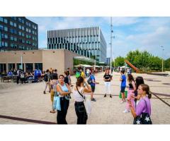 Вища освіта в Нідерландах