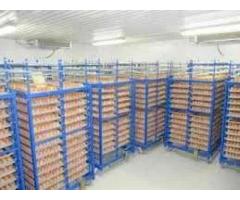 Холодильна камера Тривалого зберігання яєць (встановлення під ключ) - Изображение 3/3