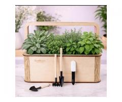 Квітучі подарункові набори на 8 березня. EcoBloom