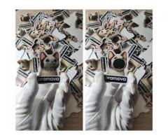 Лентикулярна 3D реклама, що привертає увагу без електрики - Изображение 4/5