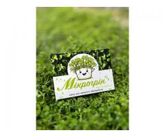 Еко-рішення: корпоративні подарунки на 8 березня з логотипом вашої компанії - Изображение 3/5