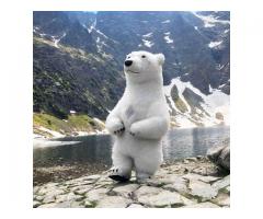 Надувний костюм «Білий Ведмідь» від виробника. - Изображение 3/4