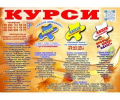 Курси колориста диплом і сертифікат