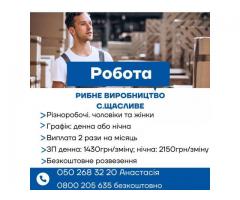 Робота на харчовому виробництві з безкоштовним проживанням у с. Щасливе