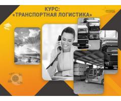 Курс «Транспортная логистика»: профессия с высоким спросом за несколько недель