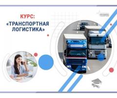 Курс «Транспортная логистика»: профессия с высоким спросом за несколько недель