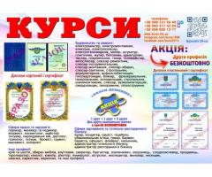 Курси колориста диплом і сертифікат