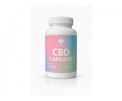 CBD капсулы 25 мг — премиум-поддержка баланса и спокойствия